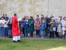img 7380 20260329